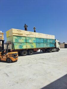 b4859790 24e1 4b95 a44c f2367ef8d76b